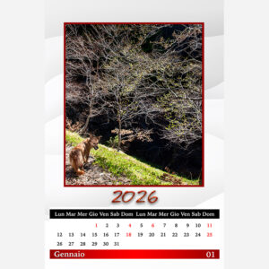 Calendario 1867