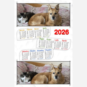 Calendario 2261