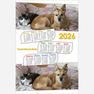 Calendario 2412